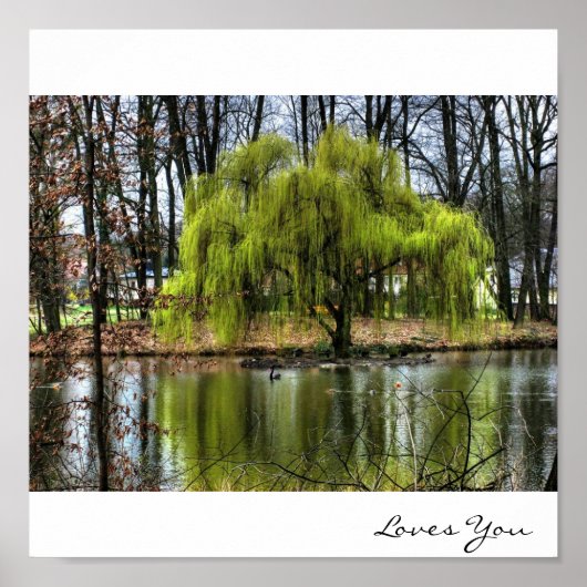 Weeping Willow Poster (Vorne)