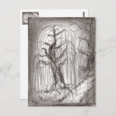 Weeping Willow Postkarte (Vorne/Hinten)