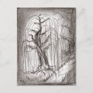 Weeping Willow Postkarte