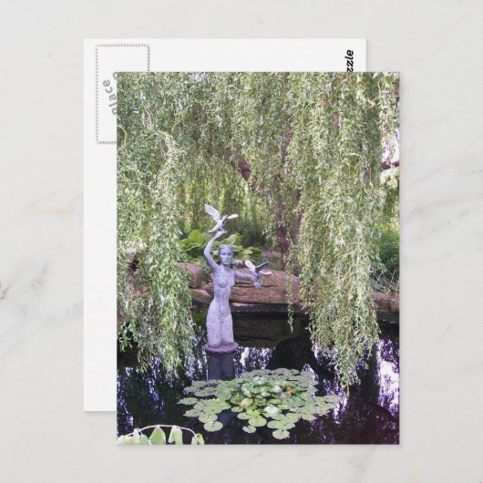 Weeping Willow Postkarte (Vorne/Hinten)