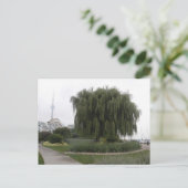 Weeping Willow Toronto Postkarte (Stehend Vorderseite)