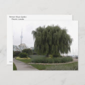 Weeping Willow Toronto Postkarte (Vorne/Hinten)