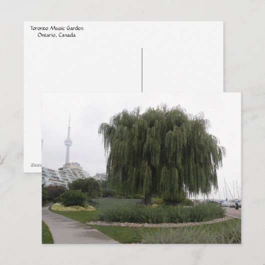 Weeping Willow Toronto Postkarte (Vorne/Hinten)