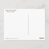 Weeping Willow Toronto Postkarte (Rückseite)