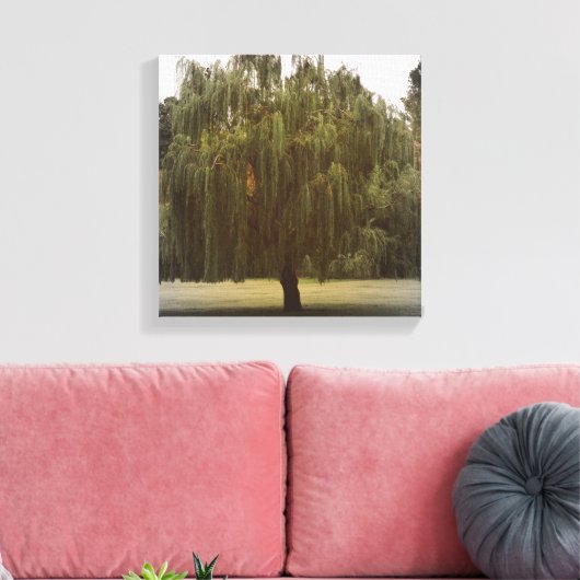 Weeping Willow Tree Leinwanddruck (Insitu (Wohnzimmer))