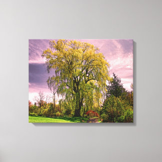 Weeping Willow Tree Leinwanddruck