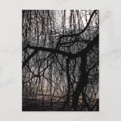 WEEPING WILLOW TREES POSTKARTE (Vorderseite)