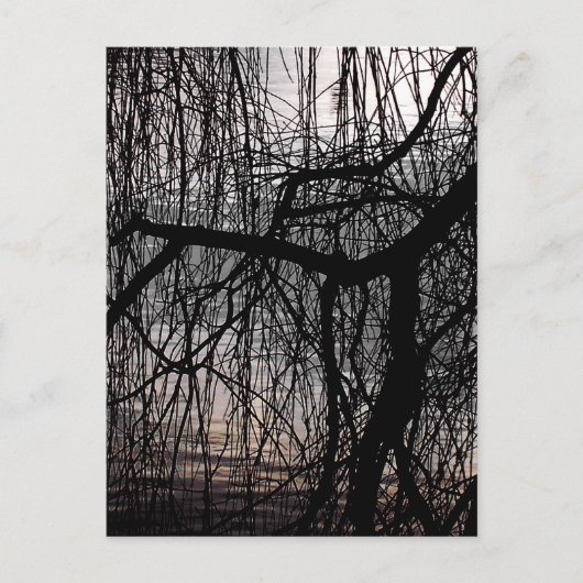 WEEPING WILLOW TREES POSTKARTE (Vorderseite)