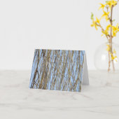 Weeping Willow von Charles Karte (Gelbe Blume)