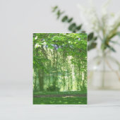 Weeping Willows with Pond Postkarte (Stehend Vorderseite)