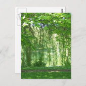 Weeping Willows with Pond Postkarte (Vorne/Hinten)