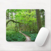 Weg Ancient Groves im Olympic National Park Mousepad (Mit Mouse)