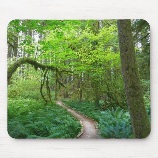 Weg Ancient Groves im Olympic National Park Mousepad (Vorne)