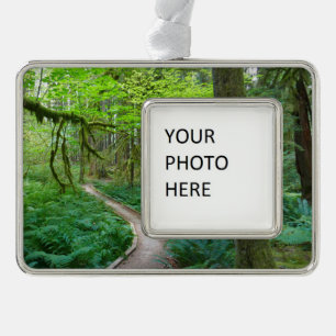 Weg Ancient Groves im Olympic-Nationalpark Rahmen-Ornament Silber
