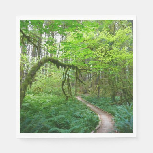 Weg Ancient Groves im Olympic-Nationalpark Serviette (Vorderseite)