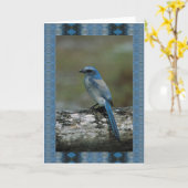 Weg auf der wilden Seite - scheuern Sie Jay Karte (Gelbe Blume)