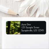 Weg aus dem Silberfall (Insitu)