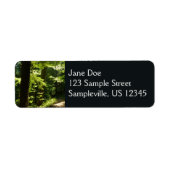 Weg aus dem Silberfall (Vorne)