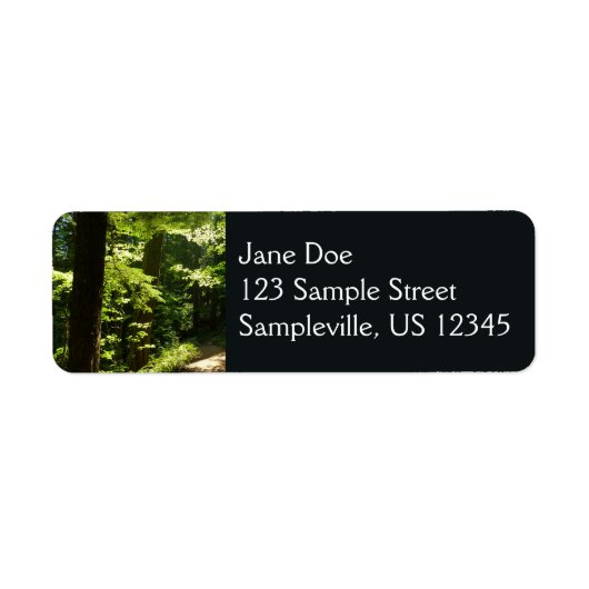 Weg aus dem Silberfall (Vorne)