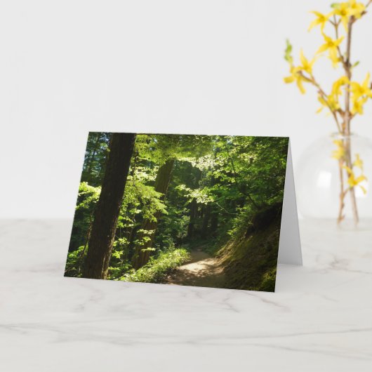 Weg aus dem Silberfall Karte (Gelbe Blume)