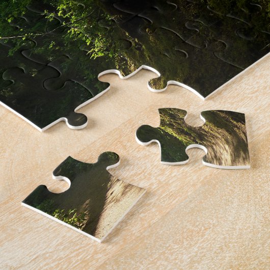 Weg aus dem Silberfall Puzzle (Seite)