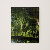 Weg aus dem Silberfall Puzzle (Vertikal)