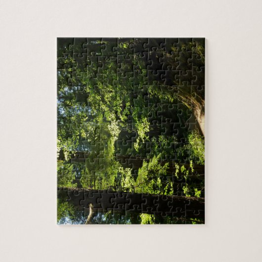 Weg aus dem Silberfall Puzzle (Vertikal)