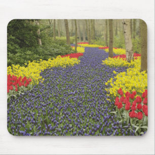 Weg der Traubenhyazinthen, Narzissen und Mousepad