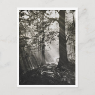 Weg des Lichts Postkarte zur Reproduktion von Foto