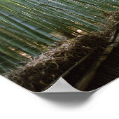 Weg durch Bamboo: Kyoto, Japan Poster (Ecke)