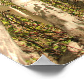 Weg durch Birken Poster (Ecke)