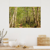 Weg durch Birken Poster (Küche)