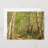 Weg durch Birken Postkarte (Vorne/Hinten)