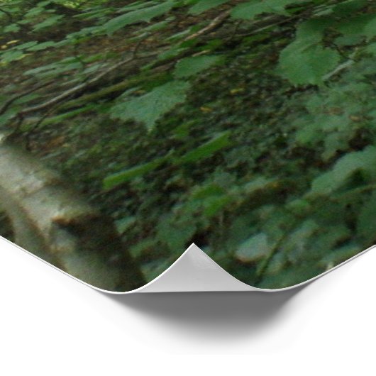 Weg durch das Grünwaldplakat Poster (Ecke)