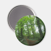 Weg durch das Magnet des grünen Waldes (Vorderseite/Rückseite)