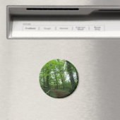 Weg durch das Magnet des grünen Waldes (In Situ (Geschirrspüler))