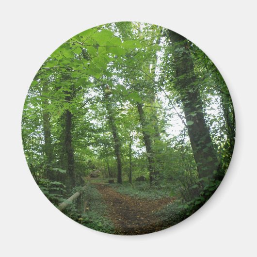 Weg durch das Magnet des grünen Waldes (Vorne)