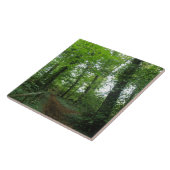 Weg durch den grünen Wald Fliese (Seite)