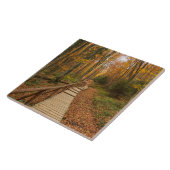 Weg durch den Herbstwald. Fliese (Seite)