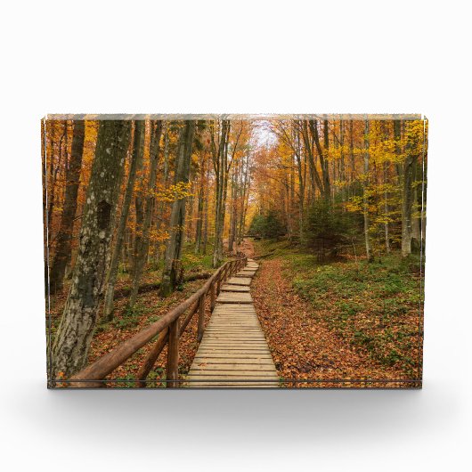 Weg durch den Herbstwald. Fotoblock (Vorderseite)