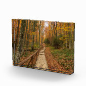 Weg durch den Herbstwald. Fotoblock (Rechts)