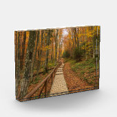 Weg durch den Herbstwald. Fotoblock (Links)