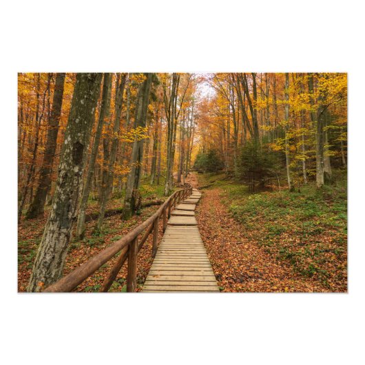 Weg durch den Herbstwald. Fotodruck (Vorne)
