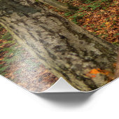 Weg durch den Herbstwald. Fotodruck (Ecke)