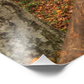 Weg durch den Herbstwald. Fotodruck (Ecke)
