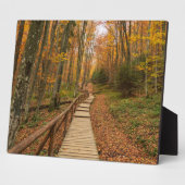 Weg durch den Herbstwald. Fotoplatte (Seite)