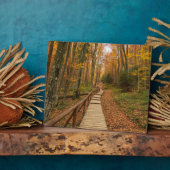 Weg durch den Herbstwald. Fotoplatte (Seite)