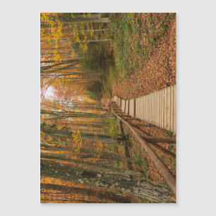 Weg durch den Herbstwald. Magnetkarte