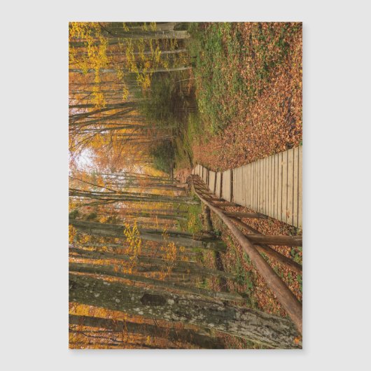 Weg durch den Herbstwald. Magnetkarte (Vorderseite)