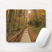Weg durch den Herbstwald. Mousepad (Mit Mouse)
